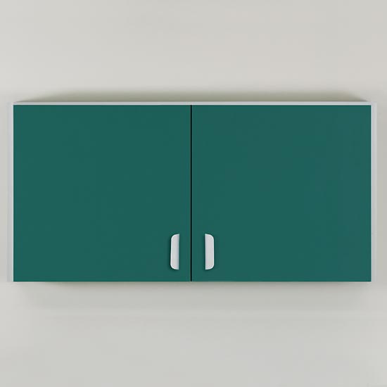 48" Wall Cabinet with 2 Doors