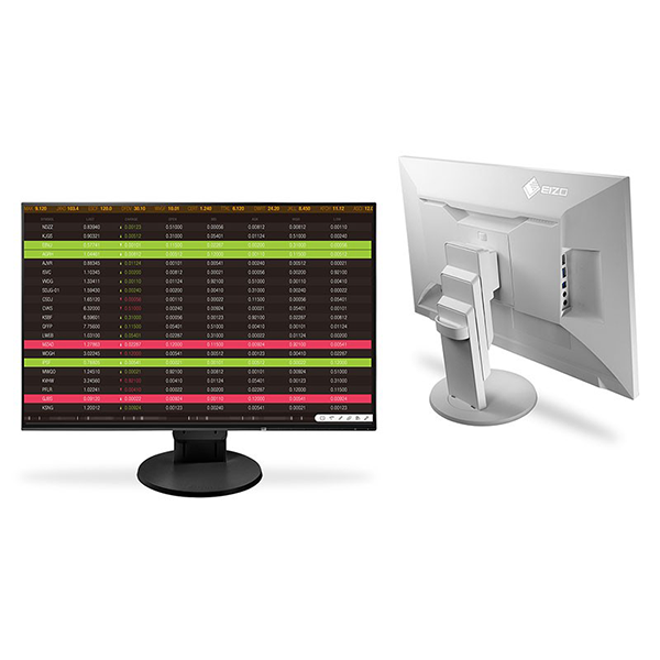Eizo EV2456 Flexscan 24" Standard Display