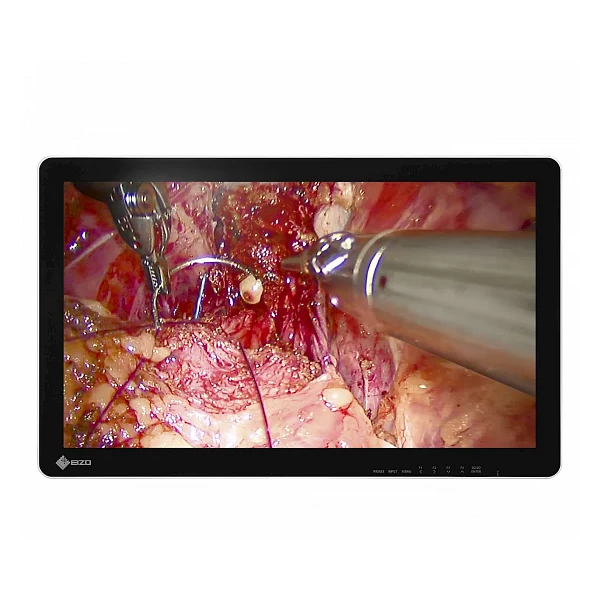 Eizo CuratOR EX2620-3D 26" Surgical Monitor
