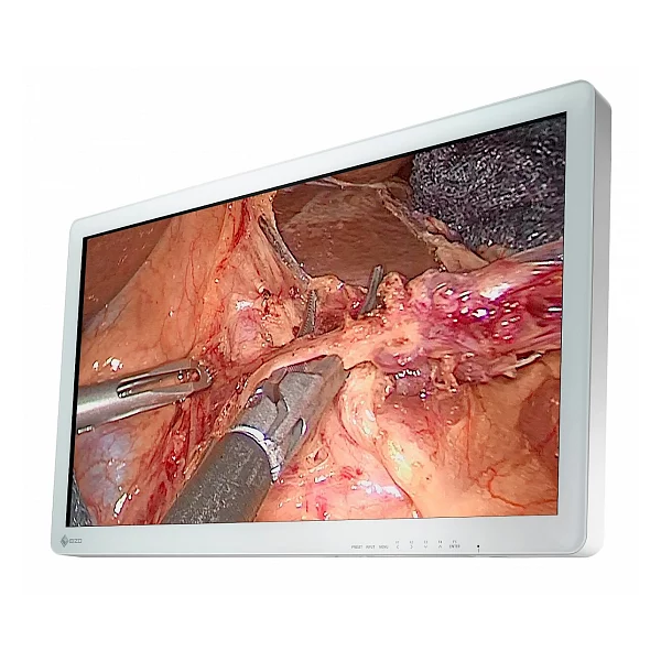 Eizo CuratOR EX3220 31" Surgical Monitor