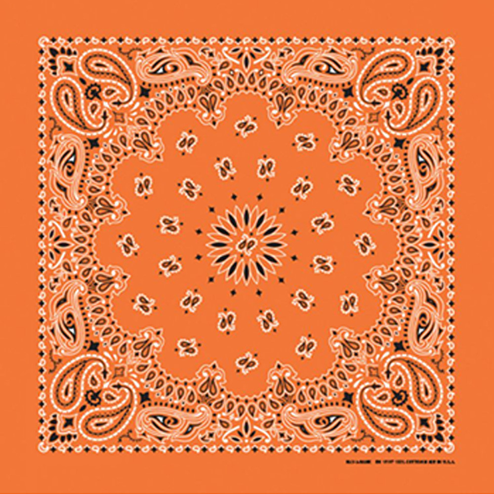 Made in the USA - Orange Paisley Bandana - Western Express