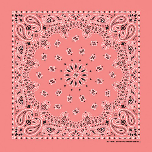 Made in the USA - Strawberry Paisley Bandana