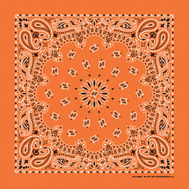 3509__21999.1633541494.386.513