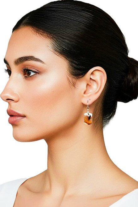 Women's Brown Tube  Agate Earrings