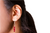 Women's Red Siam Crystal Dangle Earrings