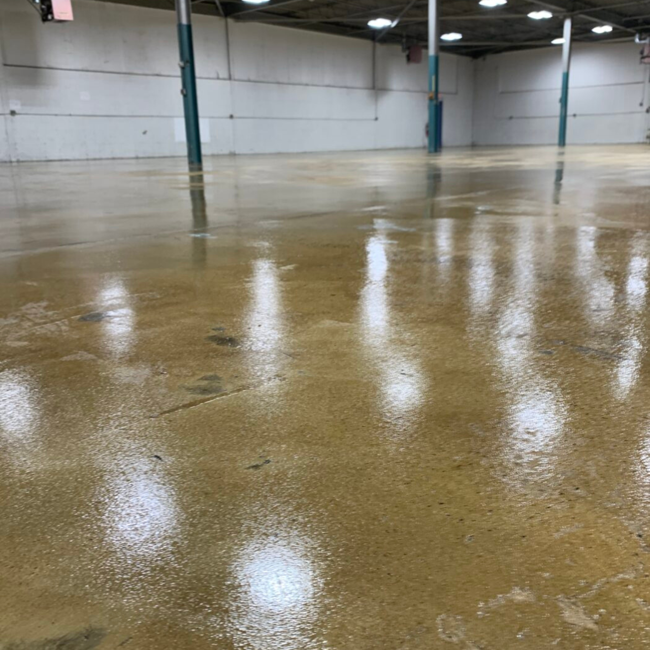 Armor Shield - Low VOC - 1 Part Fast Drying Polyurethane Sealer