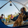 Woman in tent wrapped in a Slumberjack Elk Creek Insulated Indoor/Outdoor Quilt, next to a dog