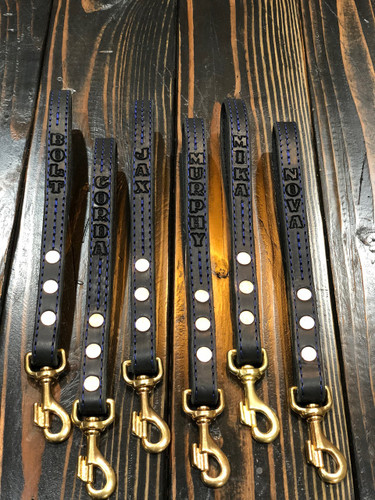 BS Dog Lead