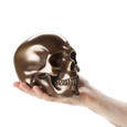 "Bronze" Skull