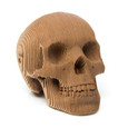 Cardboard Skull Kit
