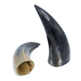 Water buffalo Horn - Thumbnail