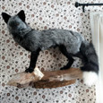 Silver Fox Full Body Taxidermy Mount - Thumbnail