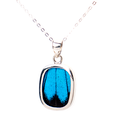 Ulysses Butterfly Wing Necklace - Small - Thumbnail