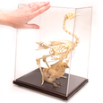 Chicken Skeleton With Chick - Scale