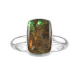 Ammolite Ring 