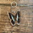 Common Blue Jay Butterfly Keychain
