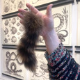 Raccoon Tail Keychain