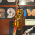  Amber - Necklace