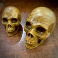 Picture Jasper Large - Carved Stone Skull