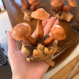Wooden Mushroom - Button Group of 3 Mini
