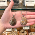 Ammonite Necklace