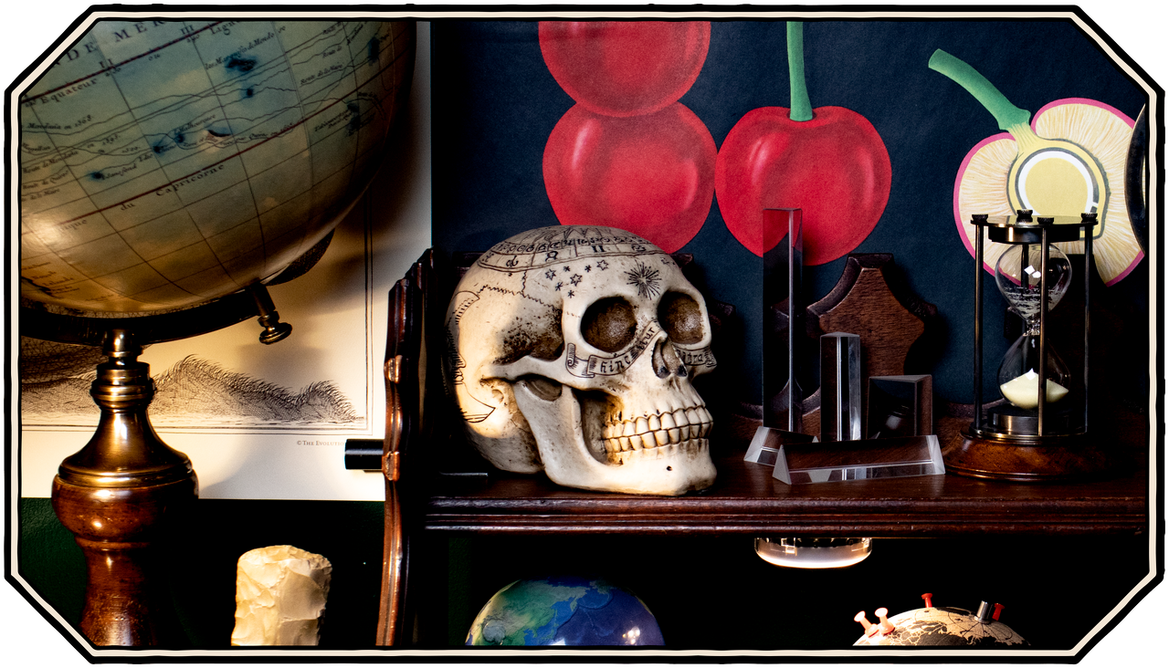 The Evolution Store | Nature, Science and Art