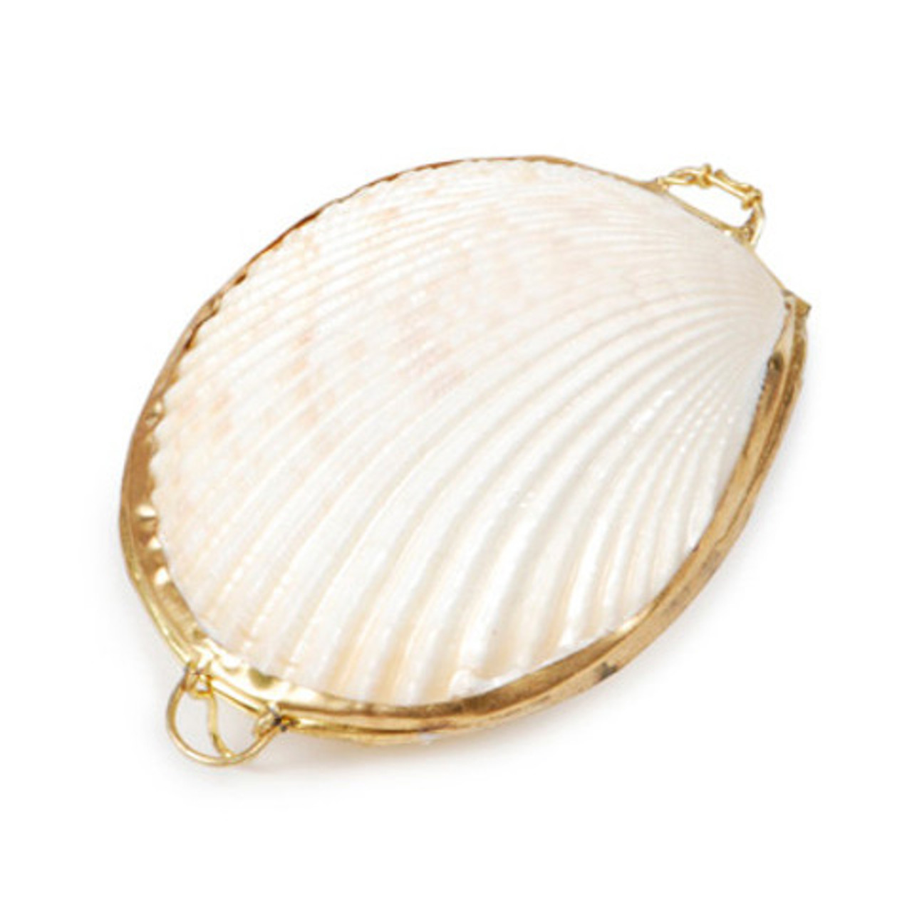 Shell purse 2025