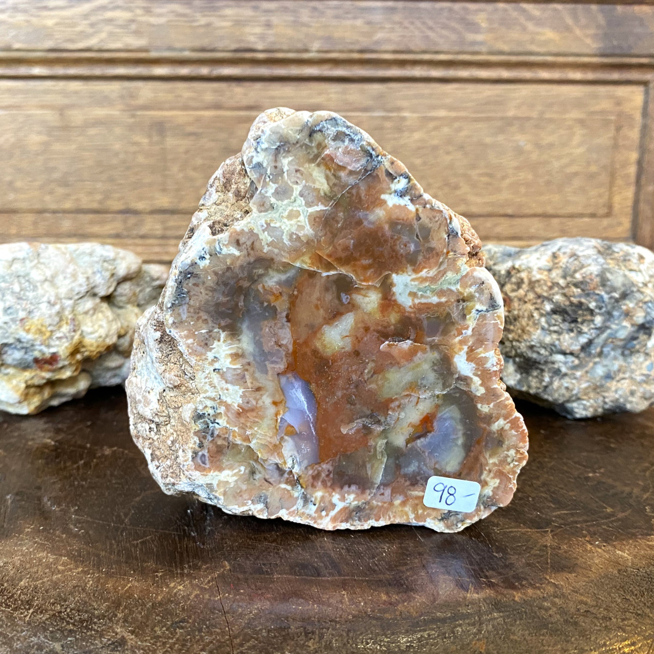 Polished Dinosaur Droppings - Coprolite | Evolution Store
