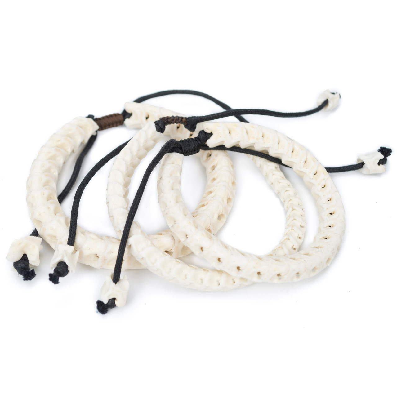 Cobra Vertebrate Bracelet | Evolution Store