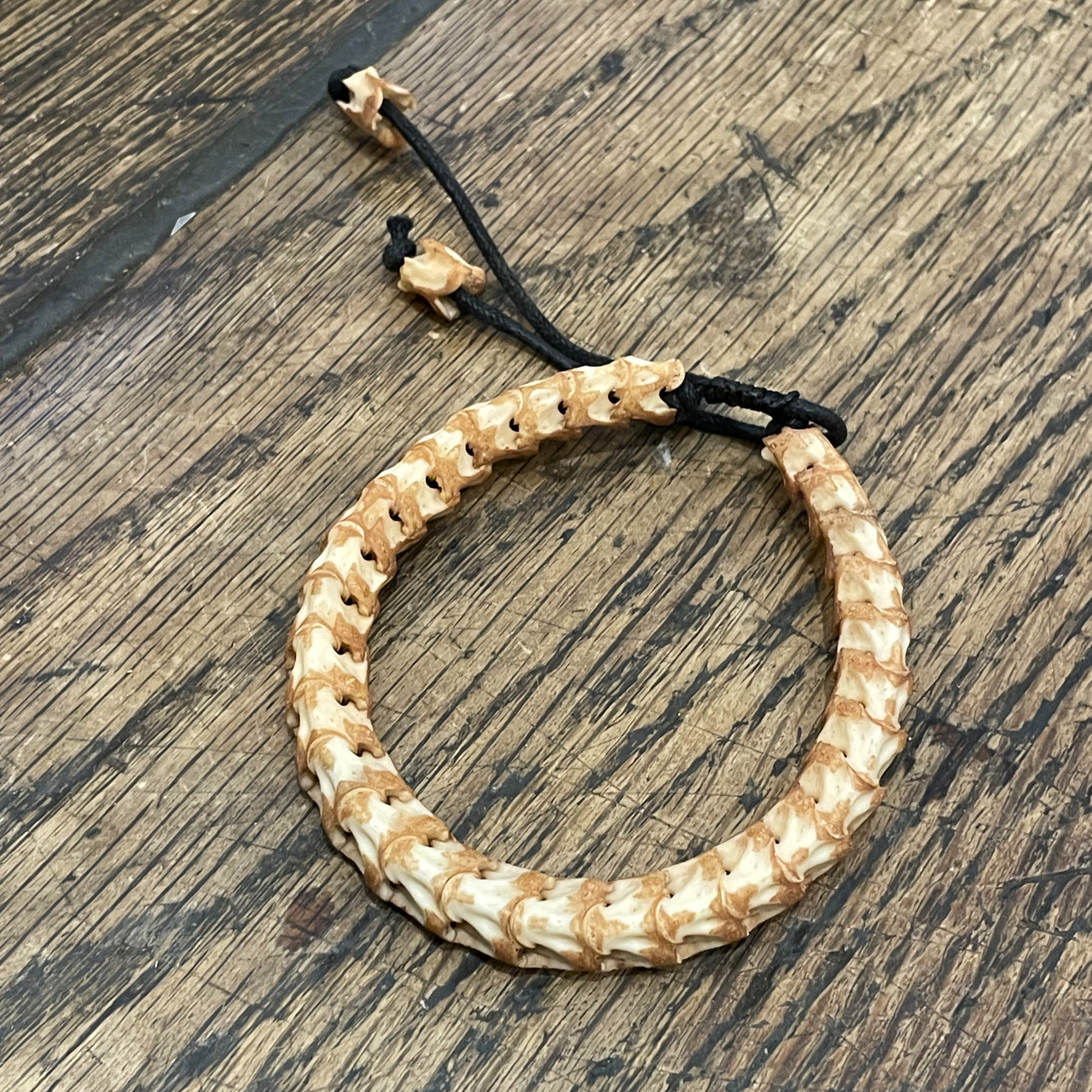 Cobra Vertebrate Bracelet | Evolution Store