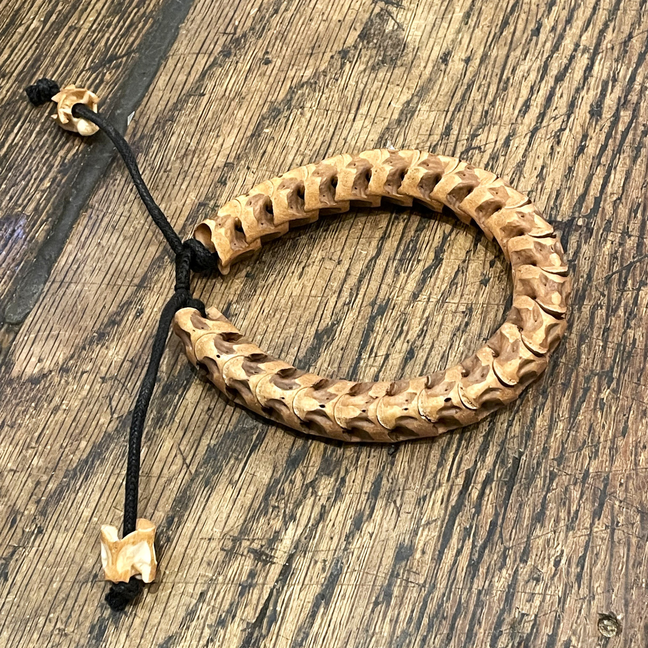 Cobra Vertebrate Bracelet | Evolution Store