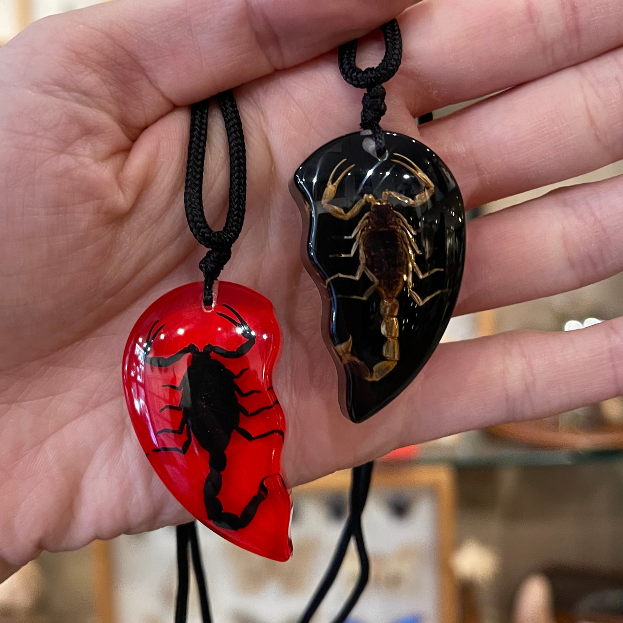 Red and Black Heart Pair Scorpion Necklaces | Evolution Store