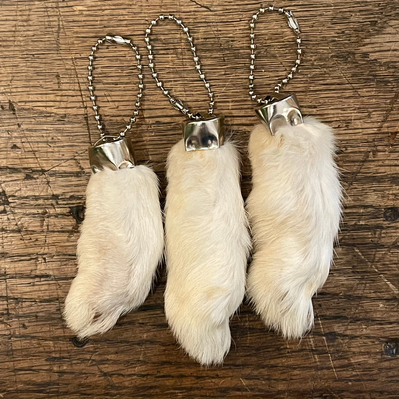 Rabbit Foot Keychain | Evolution Store