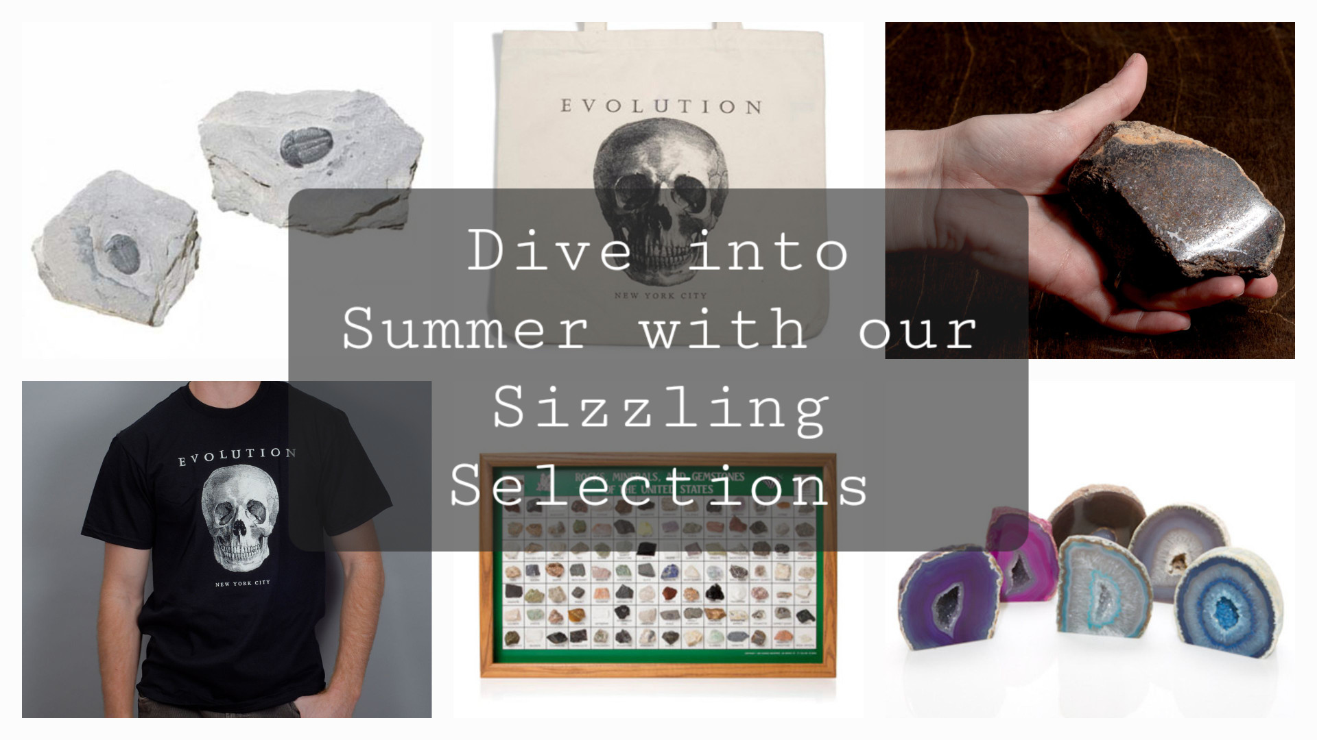 The Evolution Store | Nature, Science and Art