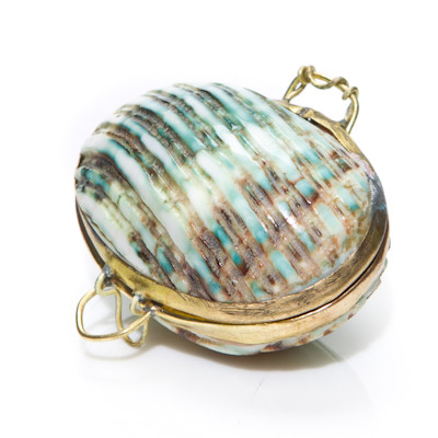 Shell Coin Purse White Cockle Evolution Store