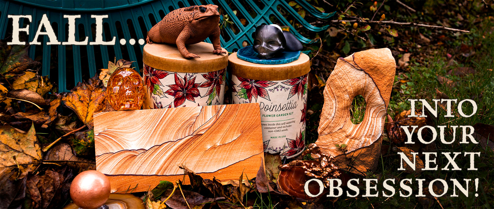 The Evolution Store | Nature, Science and Art