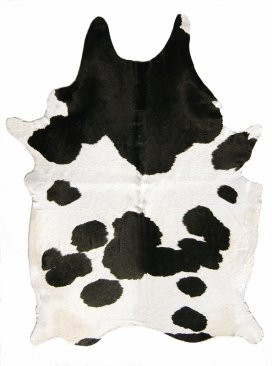 Brazilian Cowhide Rug Evolution Store