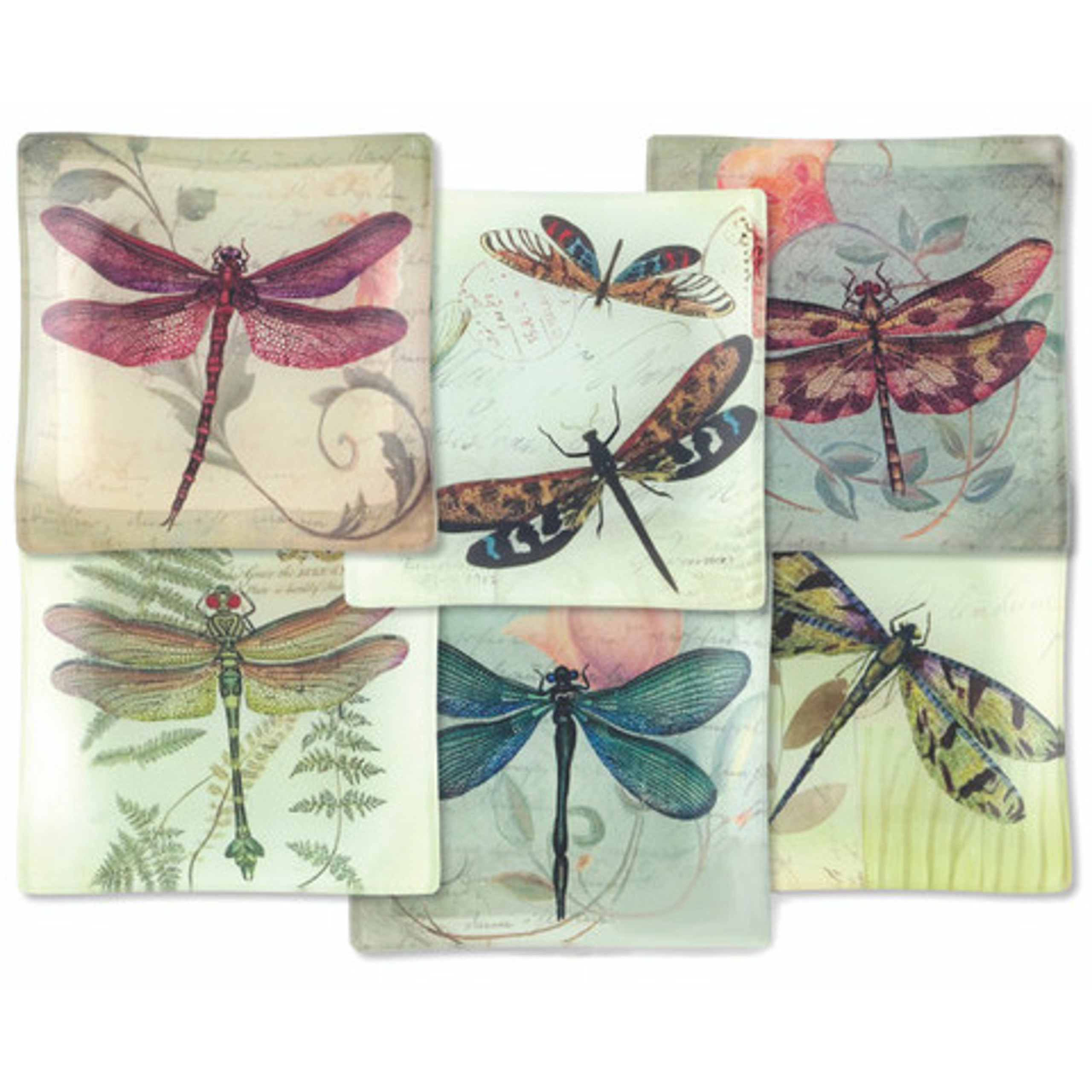 Natural History Journals Evolution Store