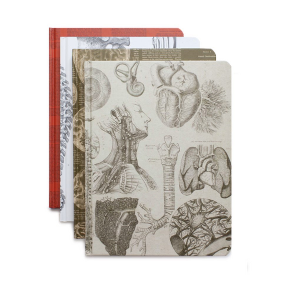 Anatomical Journals Evolution Store