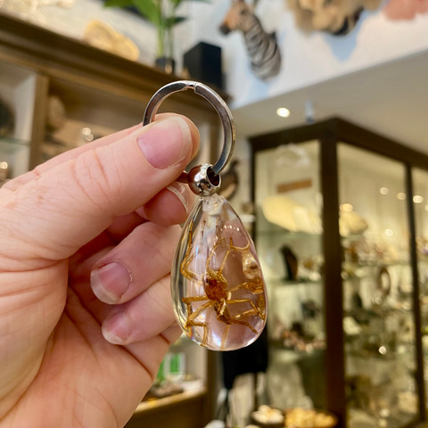 Orb Weaving Spider Keychain