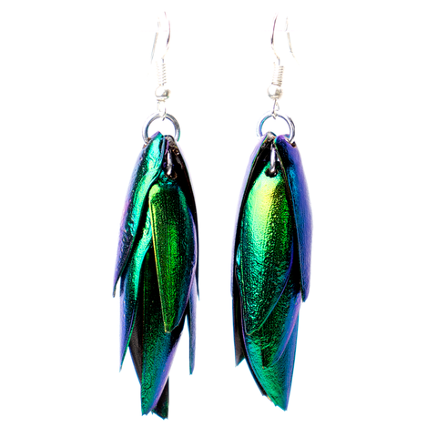 Jewel Beetle Wing Cover Earrings - Backside