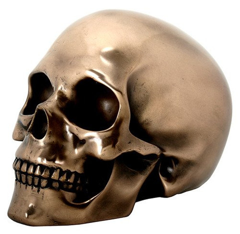 Bronze Skull High Def