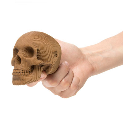 Cardboard Skull Kit