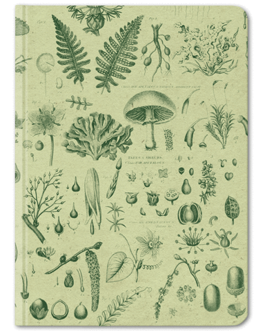 The Hypothesis: Large Hard Cover Notebook - Plants & Fungi