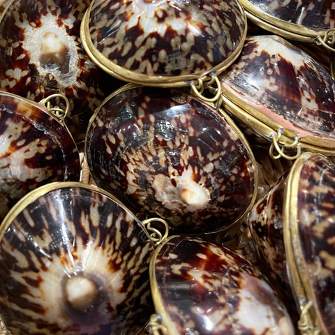 Shell Coin Purse - Limpet