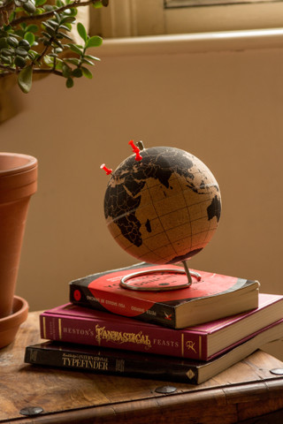 Cork Globe - Books