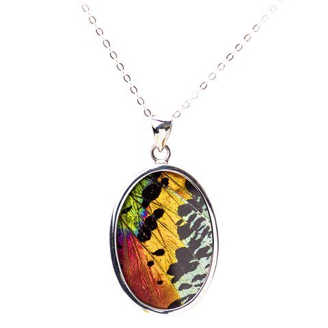 Sunset Moth Wing Necklace - Oval - Thumbnail