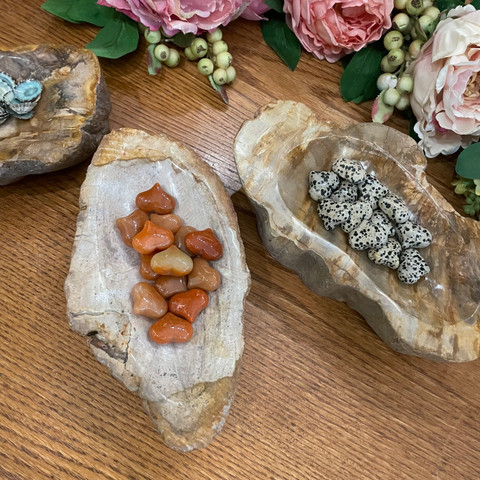 Petrified Wood Display Dish