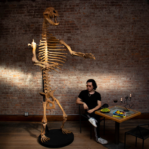 Cave bear Skeleton with man sitting down and light streak