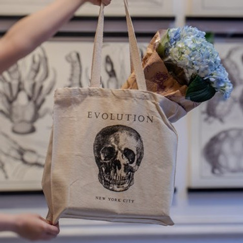 Skull Tote Bag